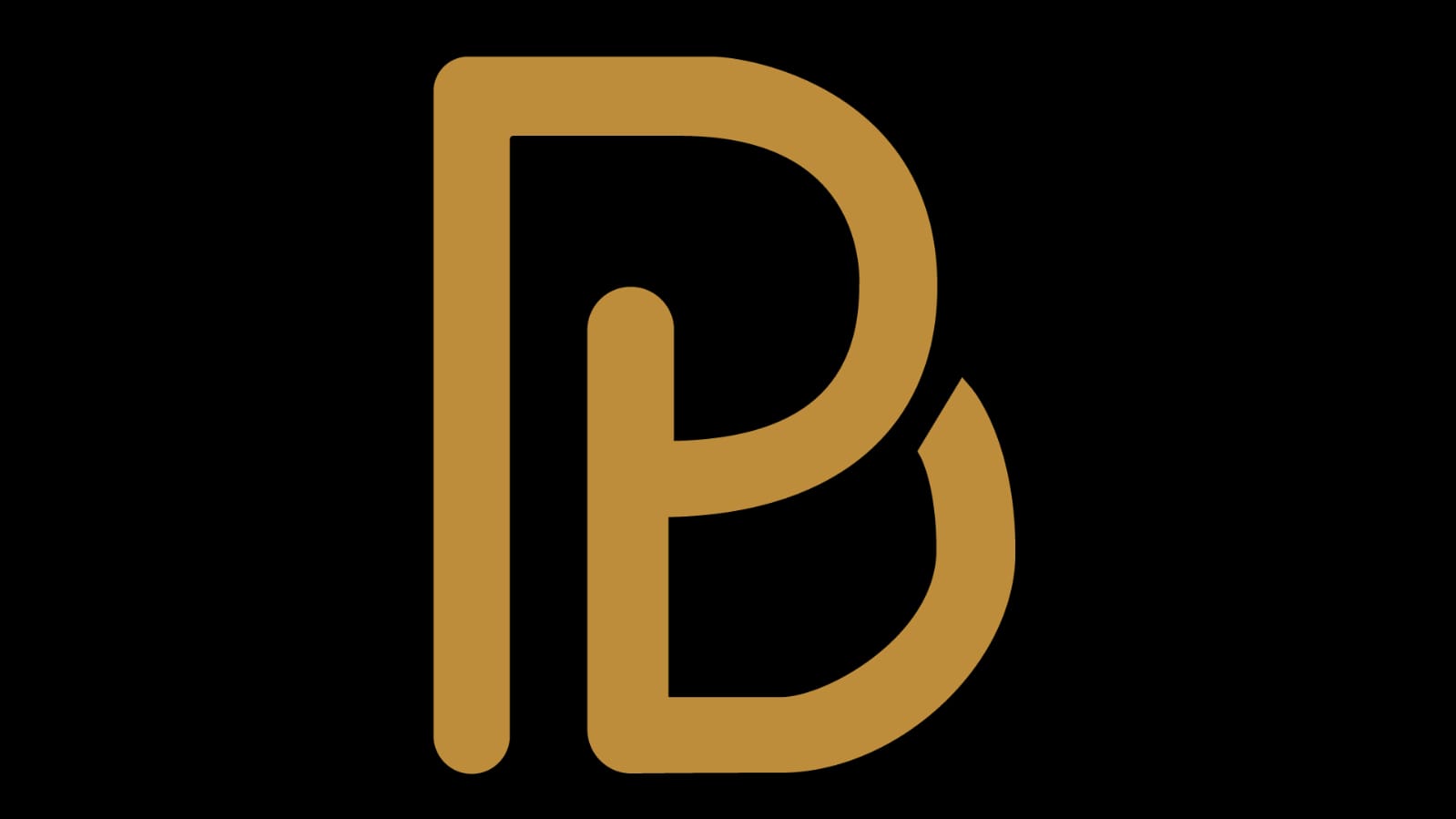 WhatsApp Image 2026-03-11 at 14.56.16.jpeg